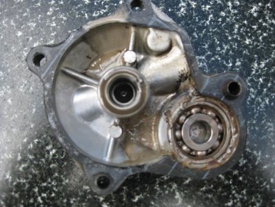 starter bearing.JPG