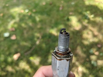 spark plug.jpg