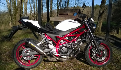 2022 Suzuki SV650.jpg