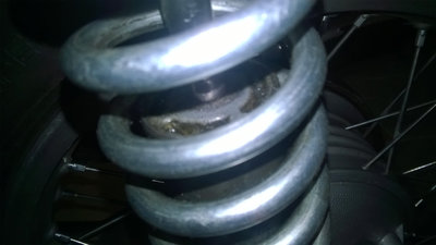 WP_20200309_12_18_55_Pro.jpg