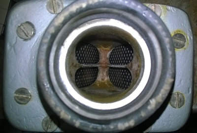 08 - CF reeds installed (seen from carb side).jpg
