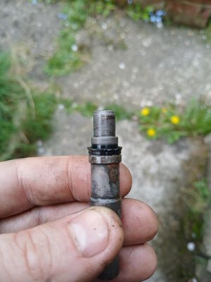 sealsplitagain.jpeg